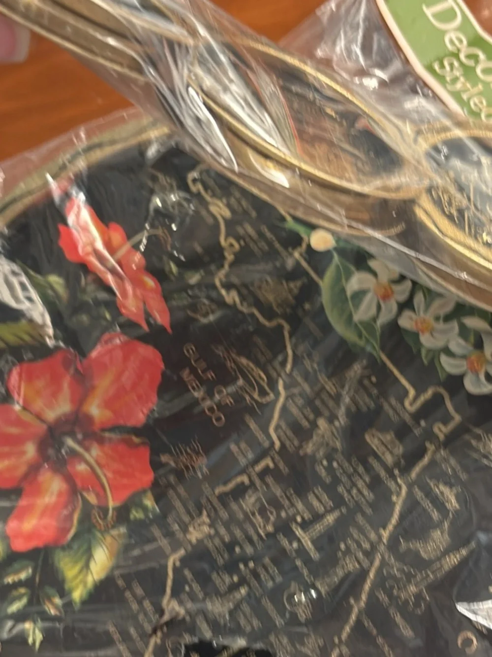 Vintage New Florida Souvenir Tray & 6 Coasters 70’s